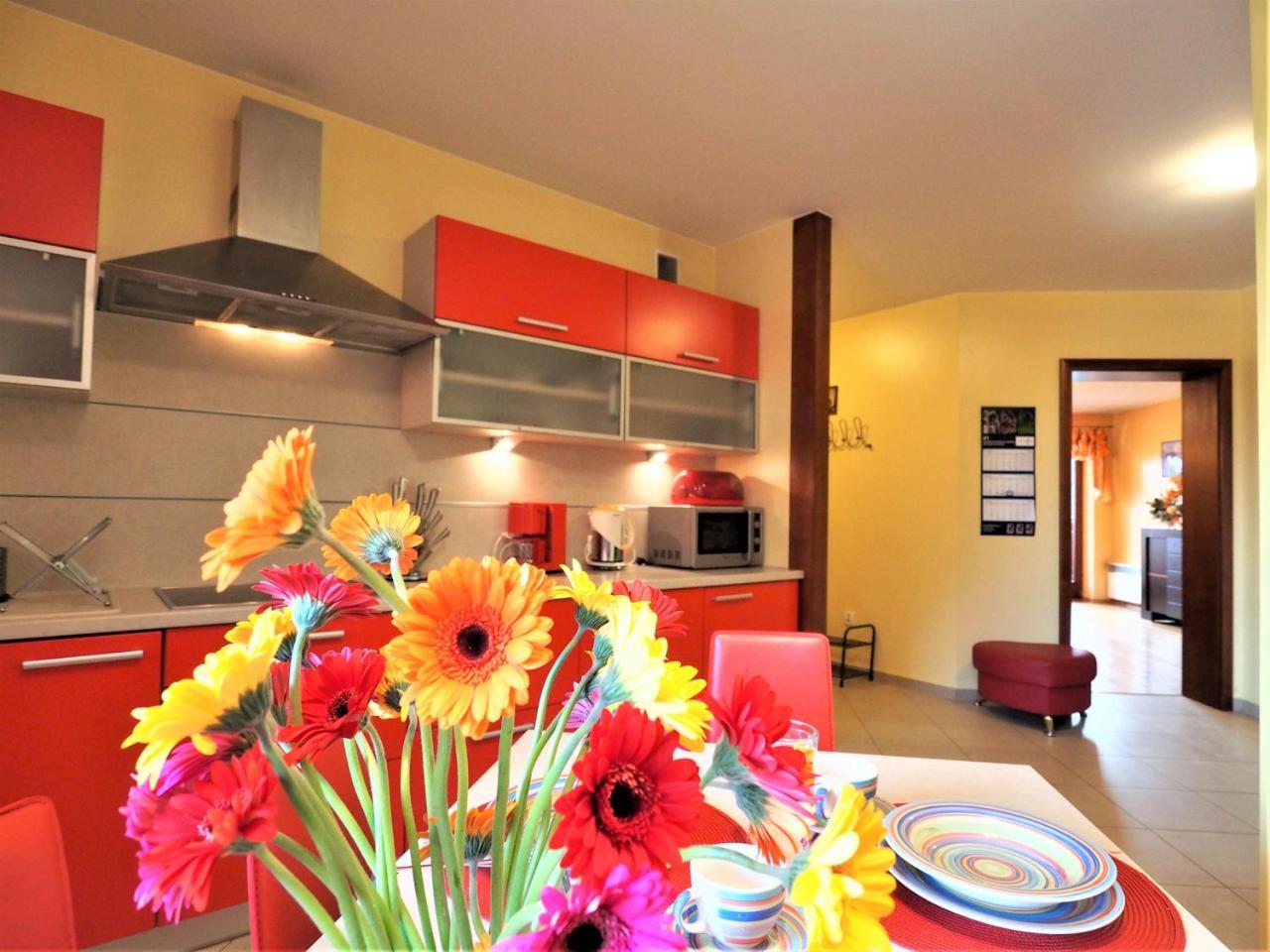 Apartament Apartament Widokowy Maki Zakopane Zewnętrze zdjęcie